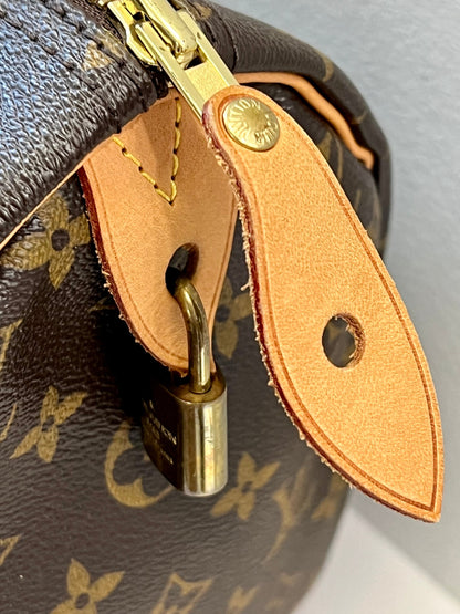 LOUIS VUITTON MONOGRAM SPEEDY 30 HANDBAG